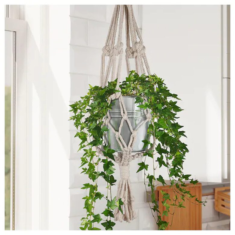 hanging planter