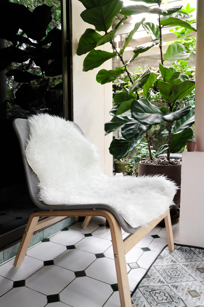 White sheepskin on easy chair with vintage rug and fiddle leaf fig tree in pot.