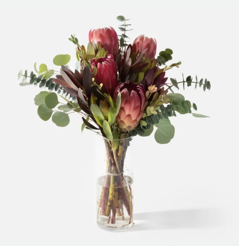 UrbanStems The Catalina Bouquet, $58