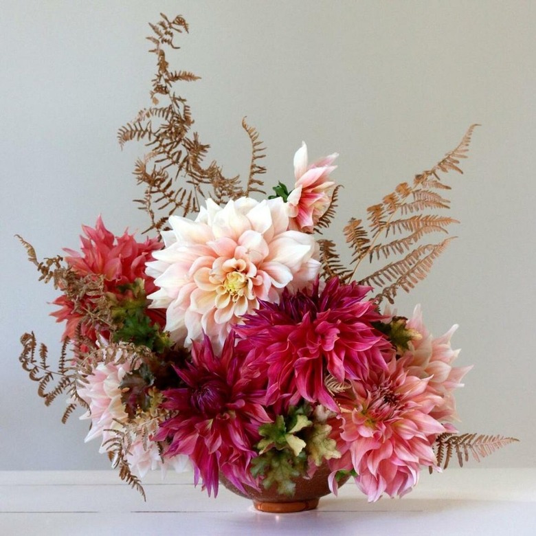 Longfield Gardens Dahlia Assorted Flirty Fleurs Ravenna Collection, $43.13