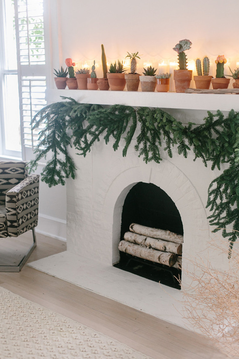 cactus mantel