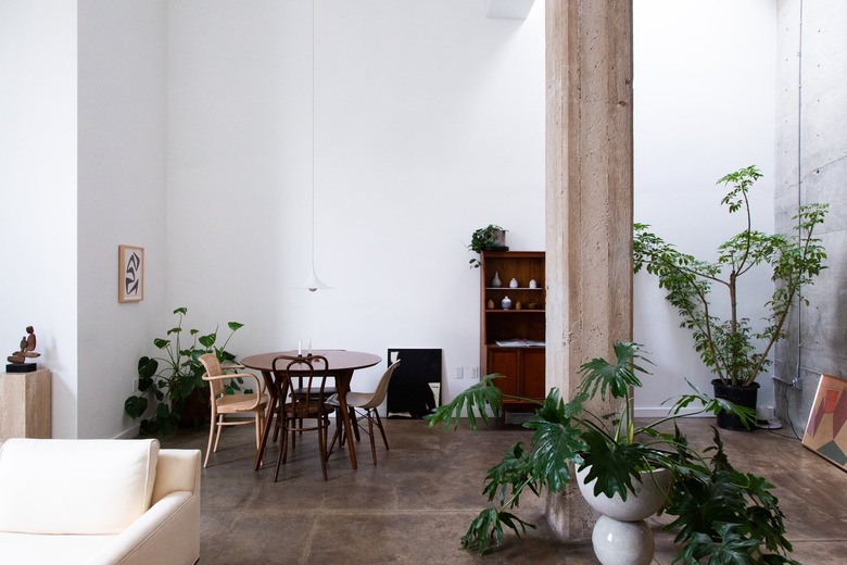 Mid-century modern living and dining area. Decorated with houseplants and Modernist art. A loft with tall ceilings.