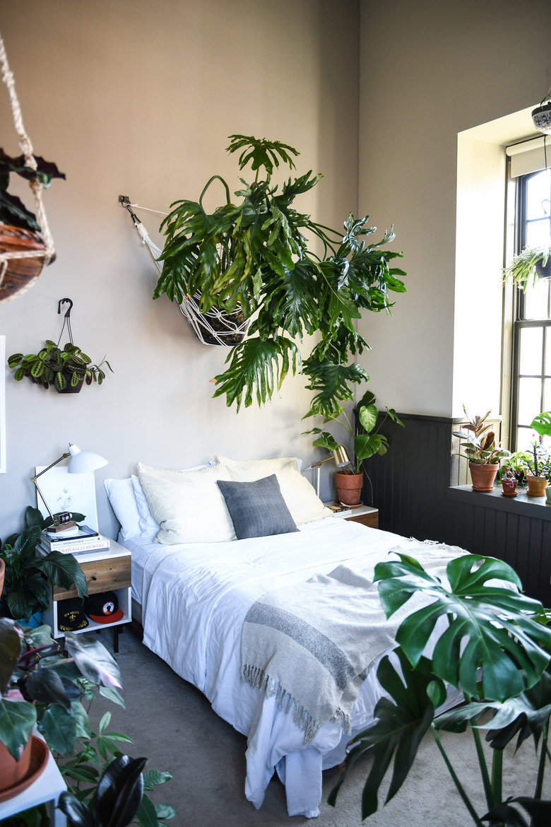 tropical plant-filled bedroom