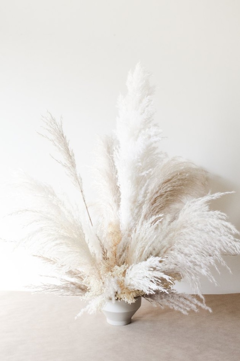 white and off-white pampas grass bouquet on a neutral backdrop