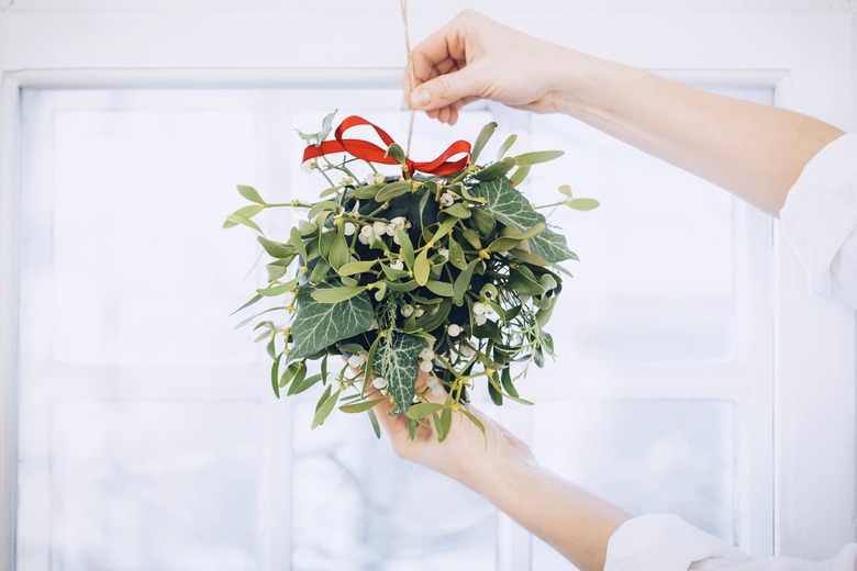 mistletoe and other greenery arranged in a spherical form around a foam floral ball