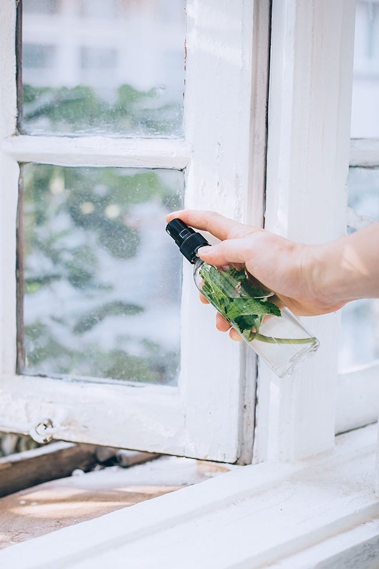 Homemade spray to keep bugs out of the kitchen