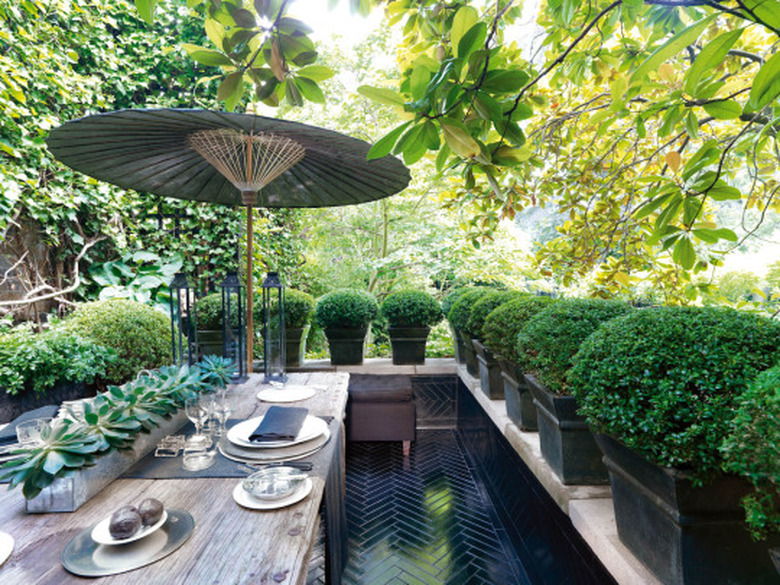 garden dining area with potted topiaries