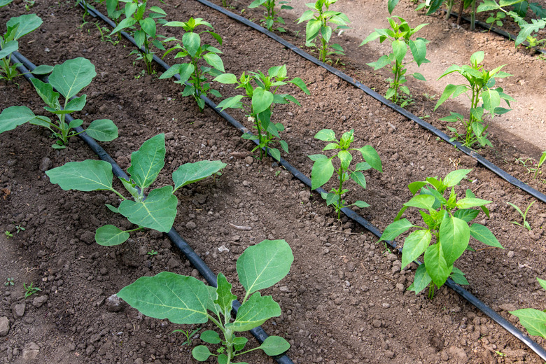 A Beginner’s Guide to Drip Irrigation Systems | Hunker