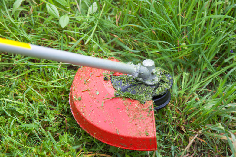 Mowing grass on the lawn closeup