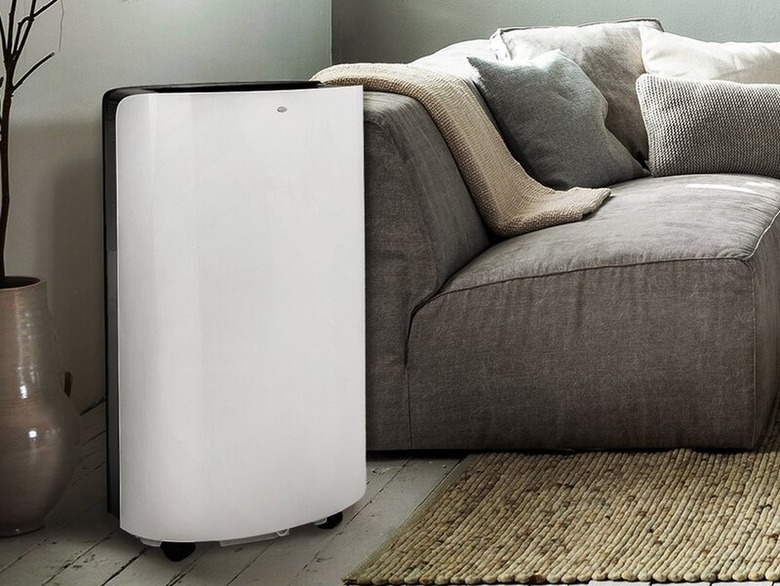 Portable air conditioner in living room