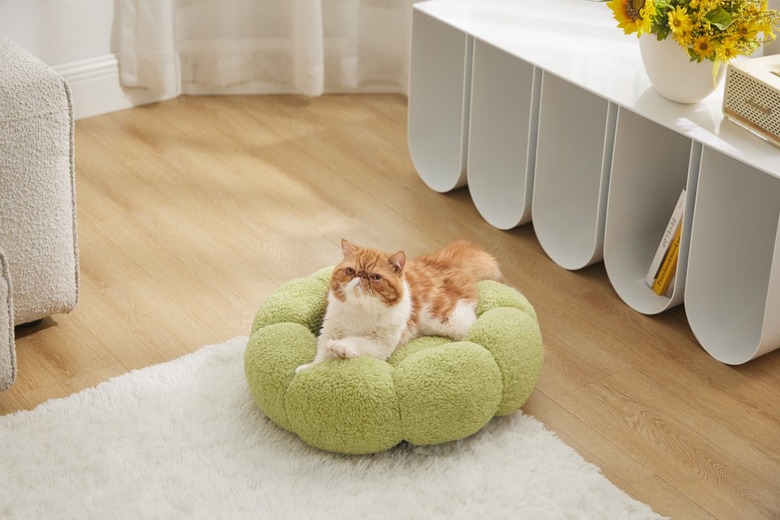 lesure pet flower bed