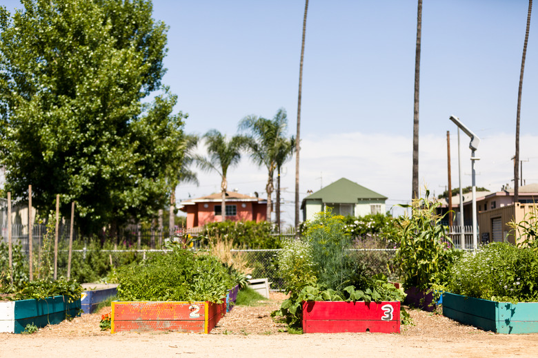 Raised beds at the Fremont Community Garden