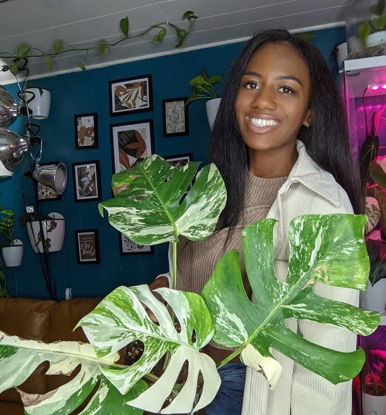 A Black woman with long black hair holding a plant in front of a blue-painted gallery wall.