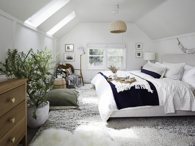 attic skylight designs in bedroom with potted indoor plant and basket pendant light