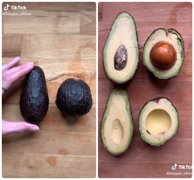 Longer avocados have smaller pits