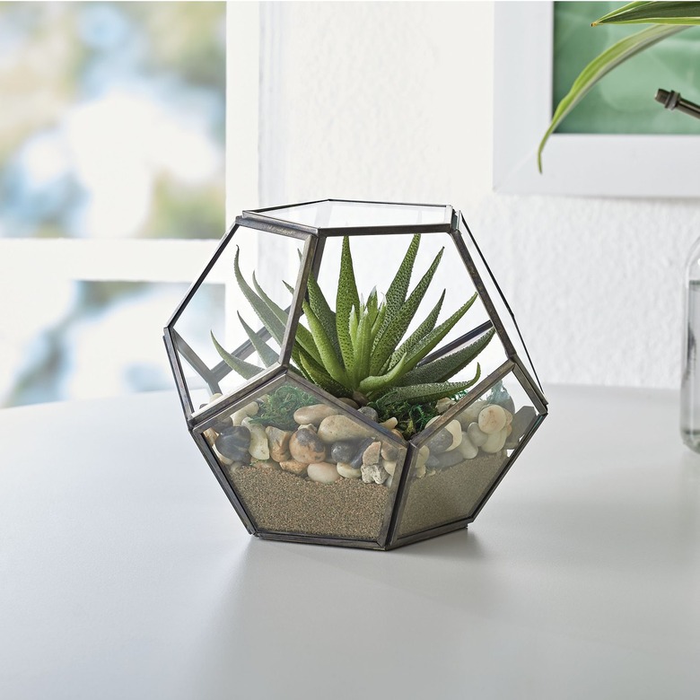 Better Homes & Gardens Geo Metal and Glass Terrarium