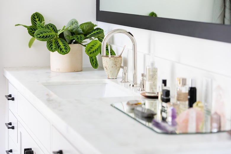 White vanity countertop with a potted plant and sink