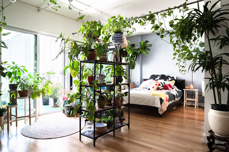 Bedroom with many plants