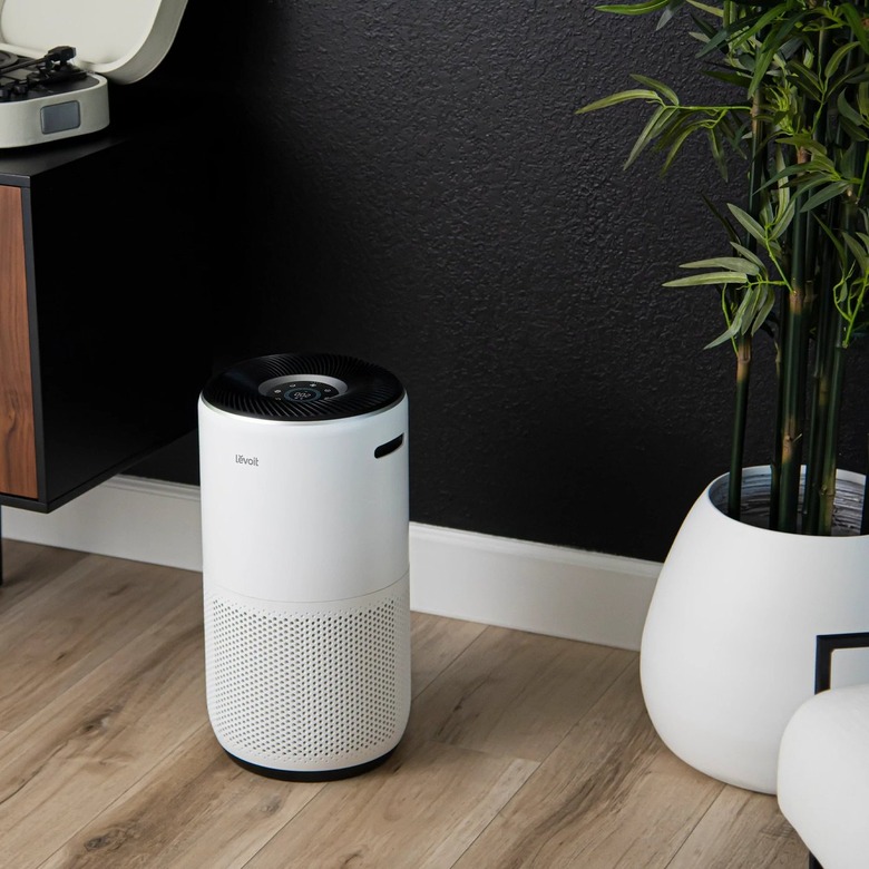 A cylindrical white air purifier next to a potted plant