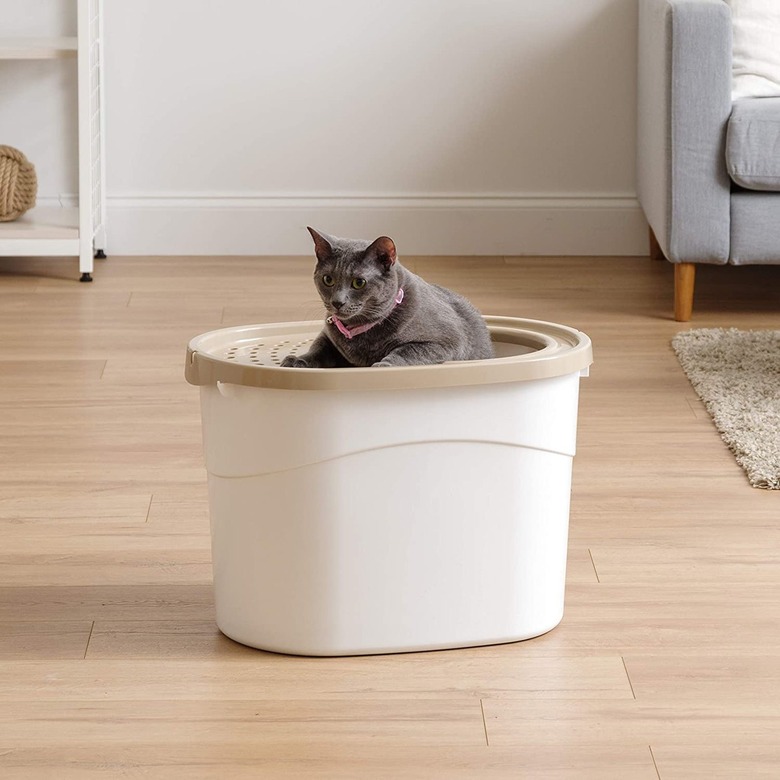 cat climbing out of a top-entry litter box