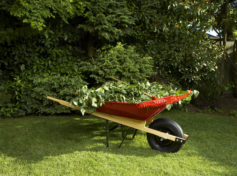 Wheelbarrow full of branches