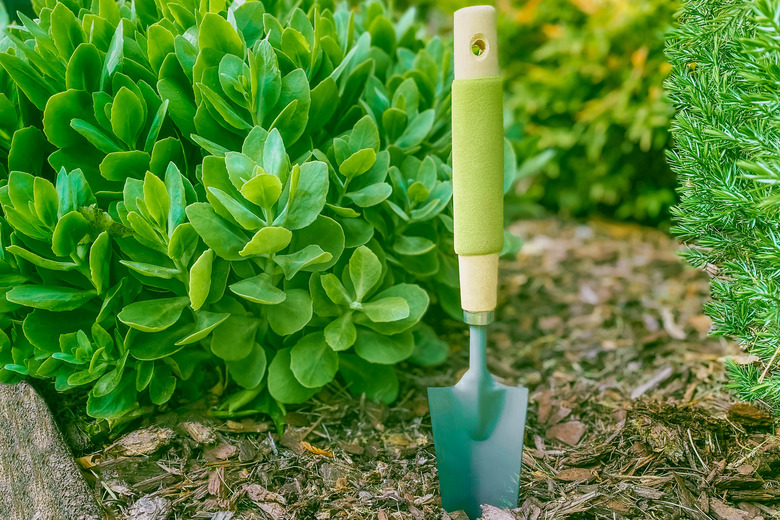 Trowel in Garden Bed