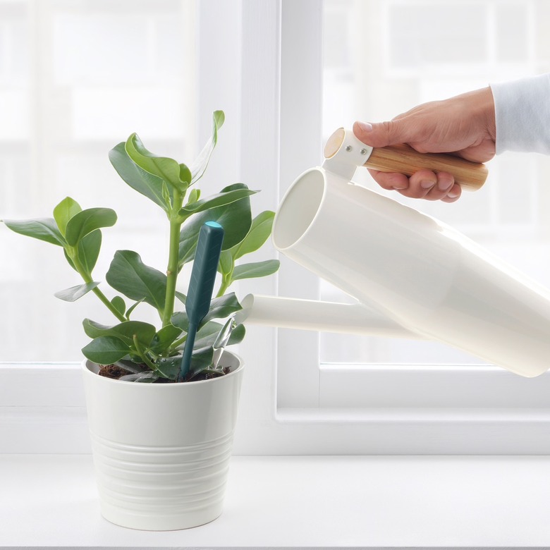 IKEA Chilipulver Plant-Watering Sensor in plant pot