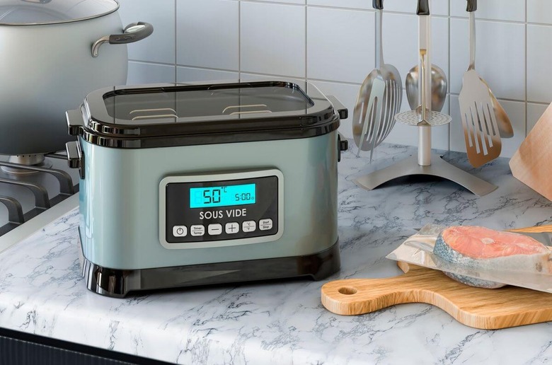 sous vide cooker