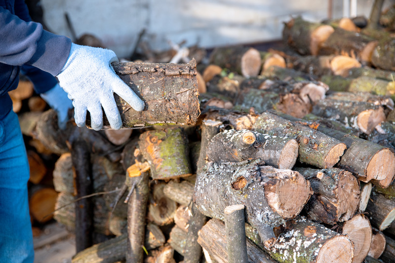 Man arranging wood logs on stack