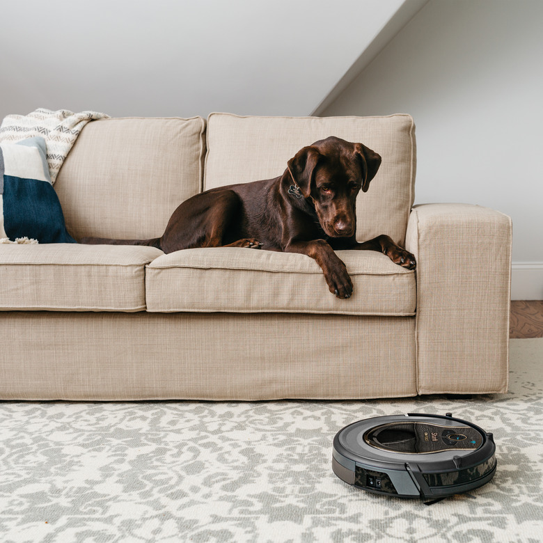 dog on couch looking at Shark ION Robot Vacuum