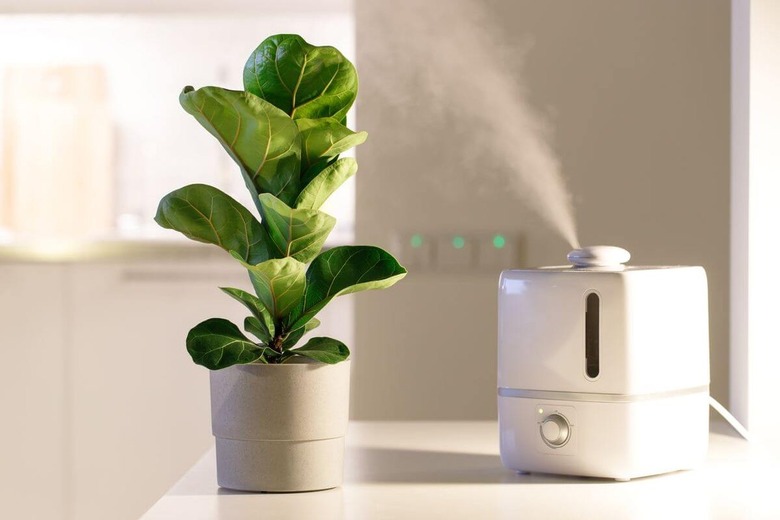 whole house humidifier