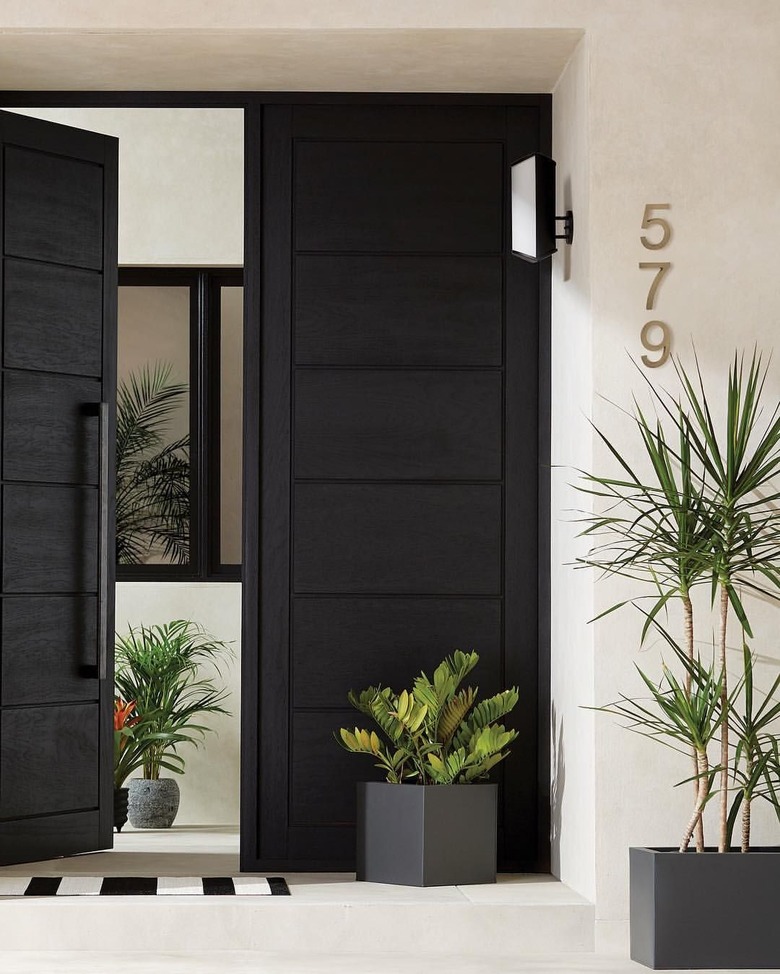 black exterior door idea with white exterior and potted plants