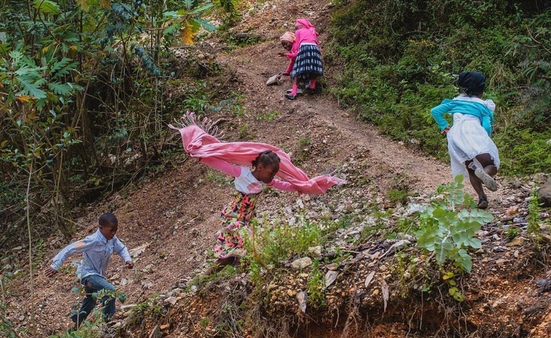 kids planning in woods