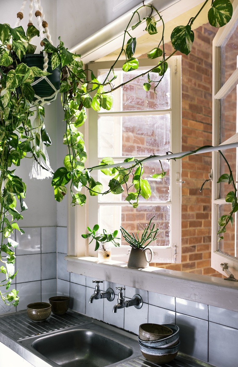 bohemian kitchen with hanging plants