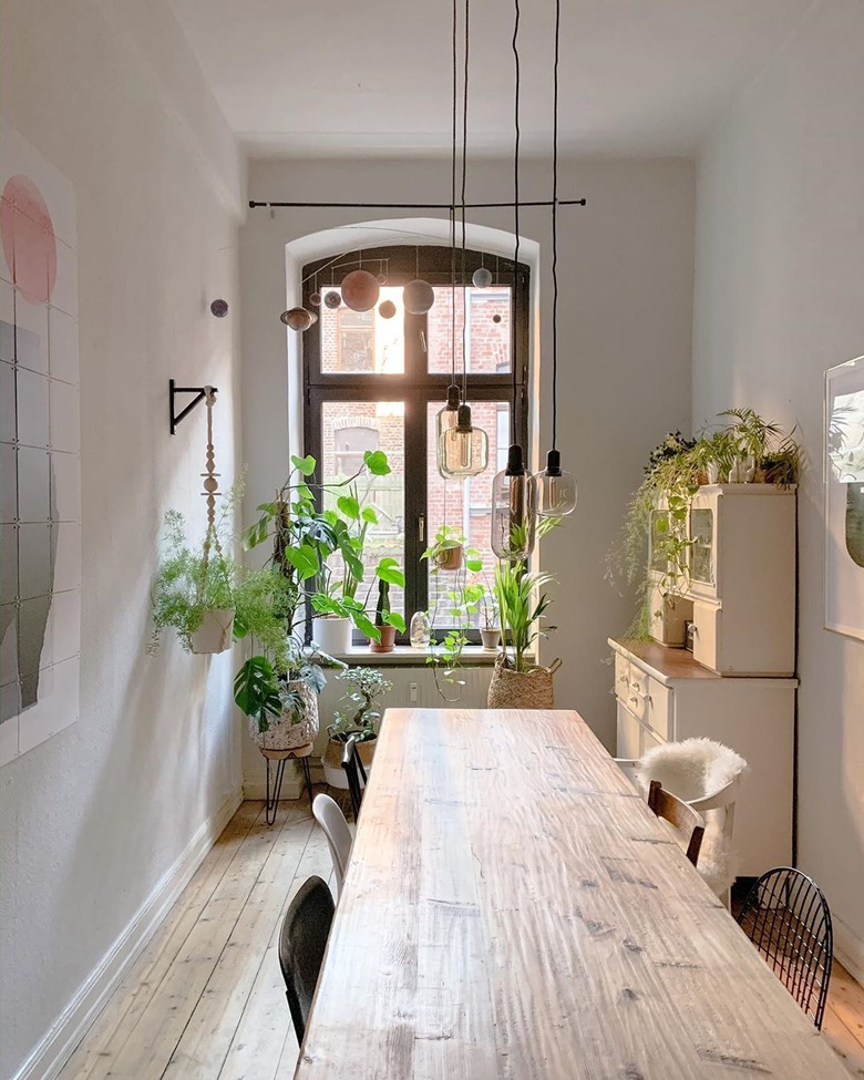 Boho apartment decor with exposed bulb light fixture and houseplants in kitchen