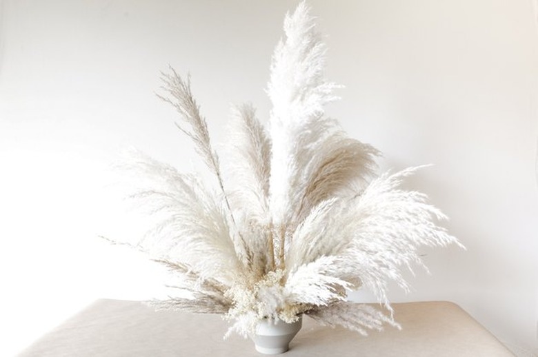 pampas grass arrangement on a table