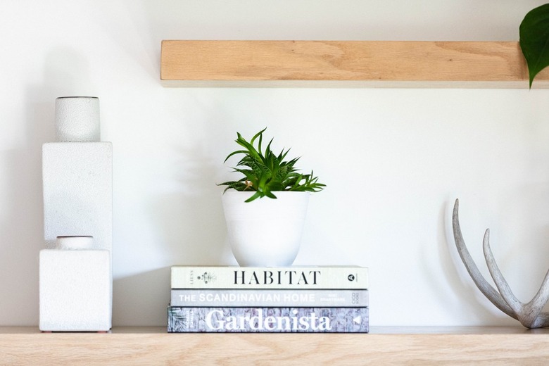 book storage with white decor on open shelving with potted plant and book storage.