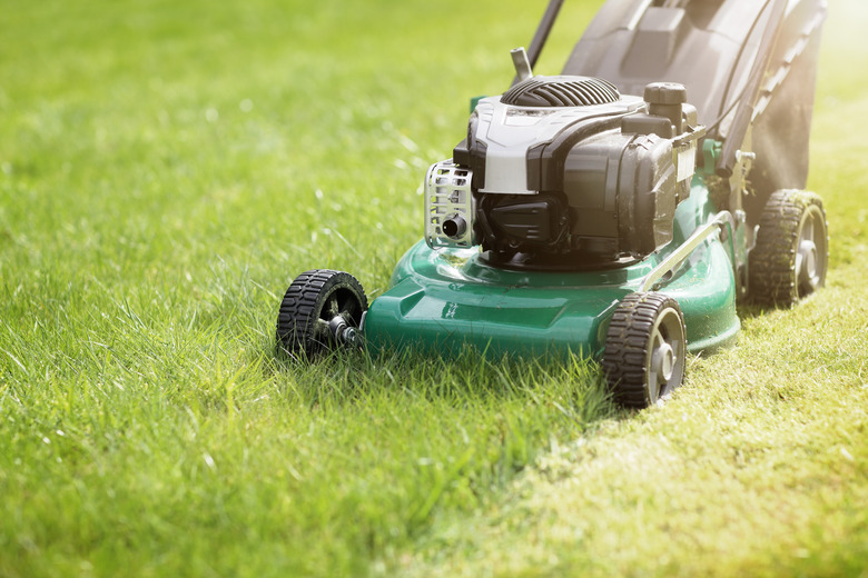 Mowing the grass