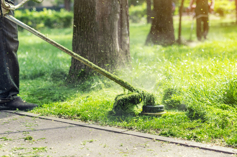 Worker mowing tall grass with electric or petrol lawn trimmer in city park or backyard. Gardening care tools and equipment. Process of lawn trimming with hand mower