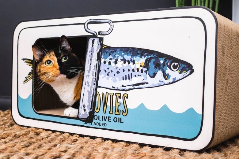 anchovies cat scratcher