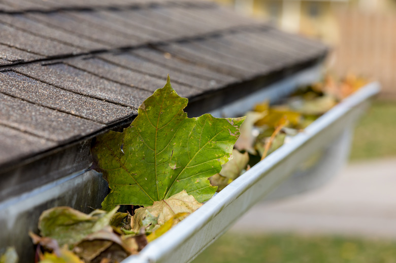 Closeup of house rain gutter clogged with colorful leaves falling from trees in fall. Concept of home maintenace and repair