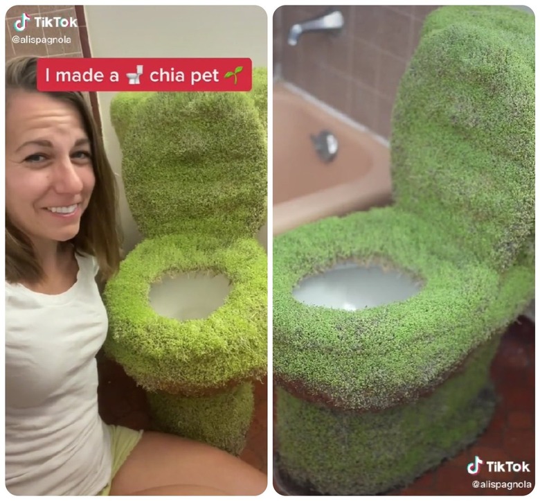 Chia Pet toilet