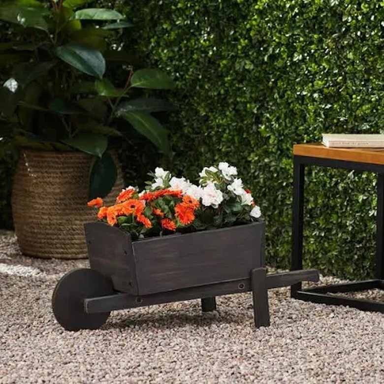 A wheelbarrow used as a planter