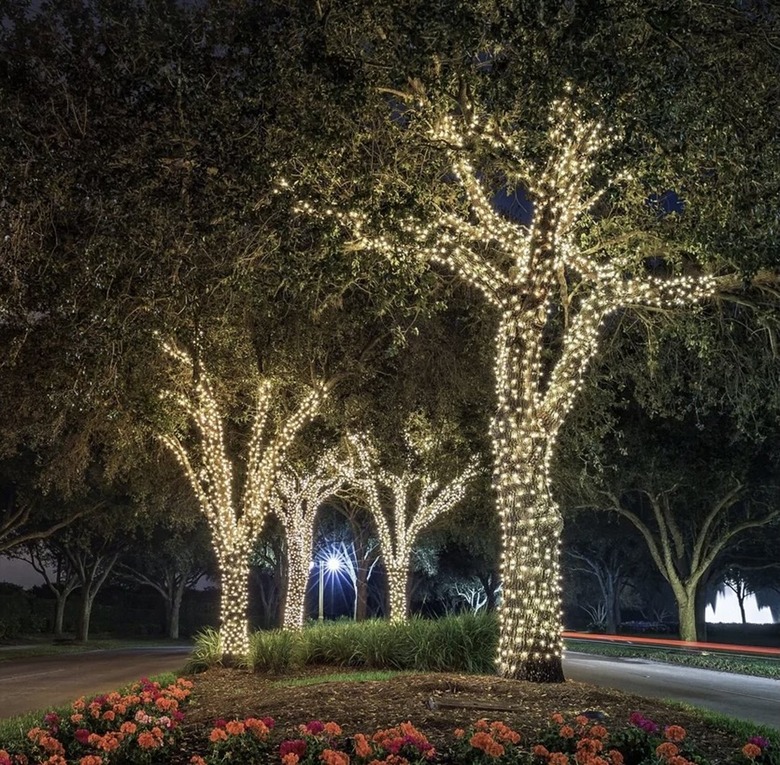 ideas for Christmas lights outdoors fairy lights in tree