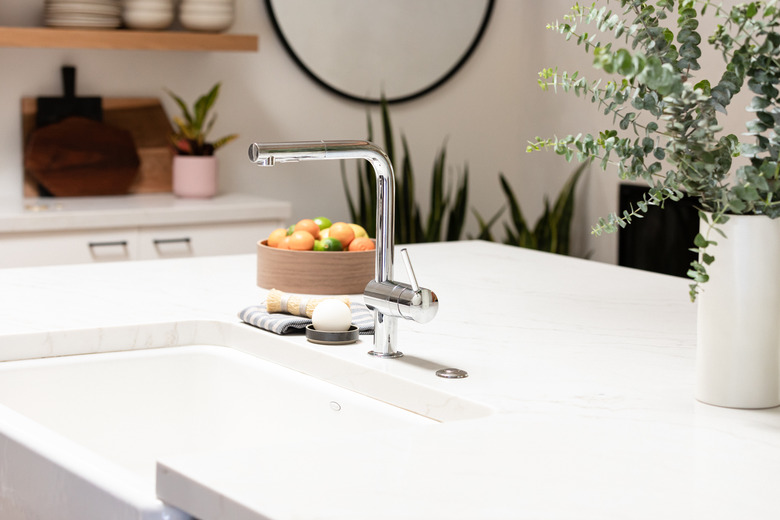 Kitchen counter, kitchen sink, plant, bowl of fruit