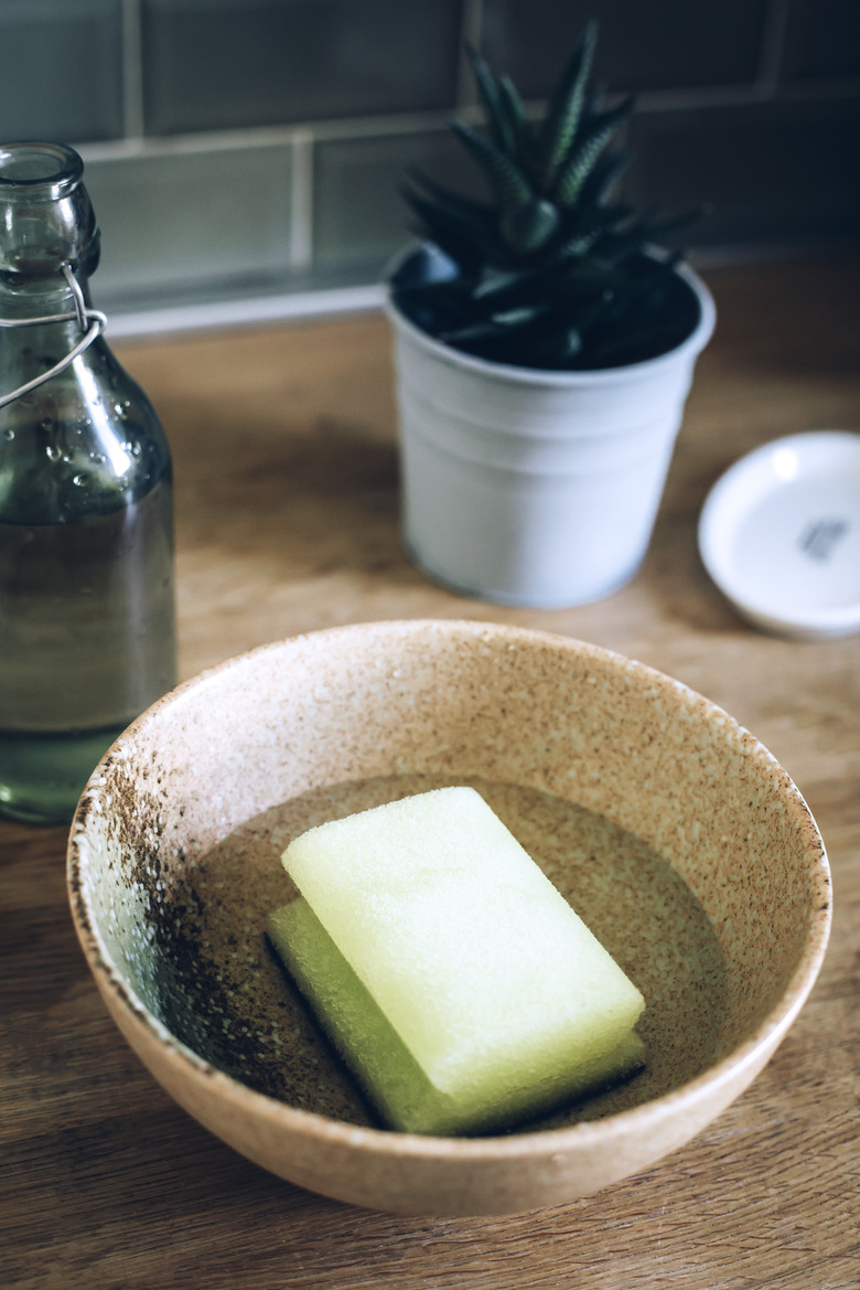 sponge in bowl of water near plant