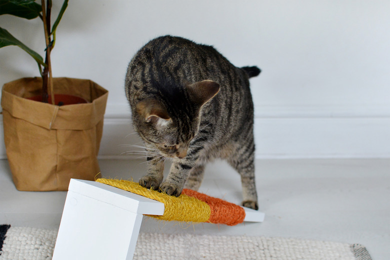 Cat playing with an orange and yellow scratching post