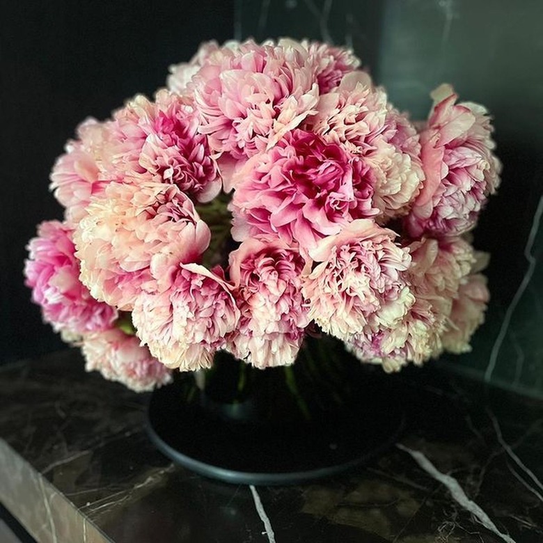 command performance peonies in vase