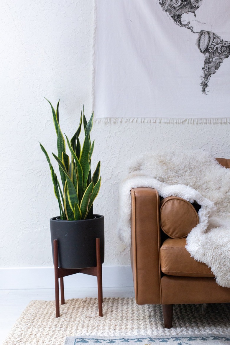 Brown leather couch and sheep throw. Snake plant in a Midcentury planter. Tapestry with a floral world map.