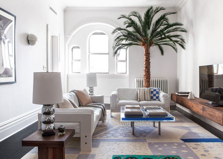 contemporary living room with palm tree decor